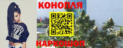 сатива Нальчик