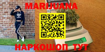 сатива Нальчик