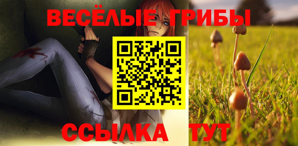 Псилоцибиновые грибы GOLDEN TEACHER Сердобск