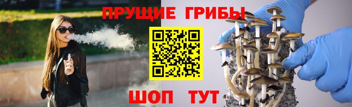 Псилоцибиновые грибы Magic Shrooms  Вход с VPN  Сердобск  наркотики  Псилоцибиновые грибы прущие грибы 